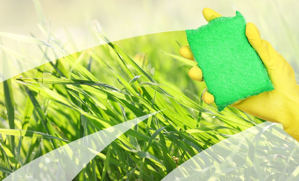 Green Cleaning Services Halifax